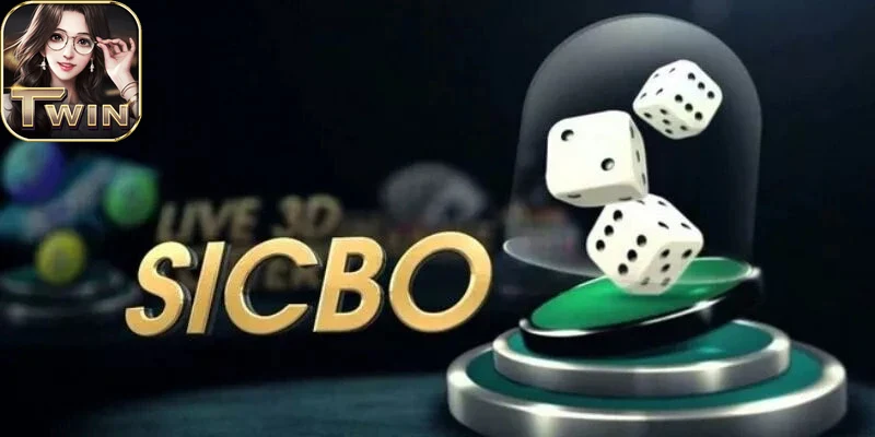 Giao diện sicbo twin68 hiện đại dễ thao tác cho người mới